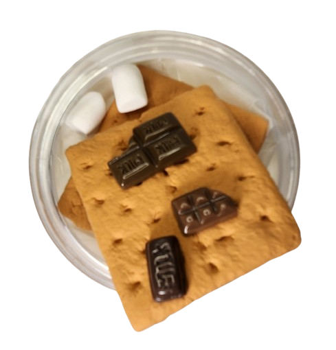 S'mores Galore DIY Clay Kit